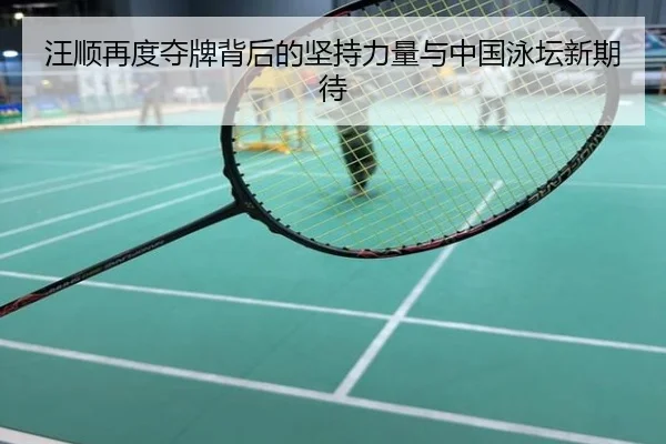 汪顺再度夺牌背后的坚持力量与中国泳坛新期待