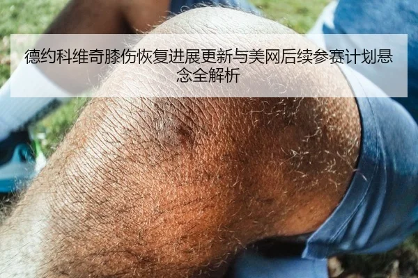 德约科维奇膝伤恢复进展更新与美网后续参赛计划悬念全解析